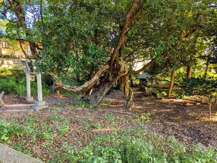 厳島神社(片葉の弁天)(千葉県)
