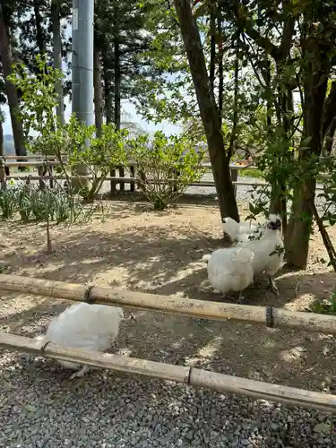 高屋敷稲荷神社(福島県)