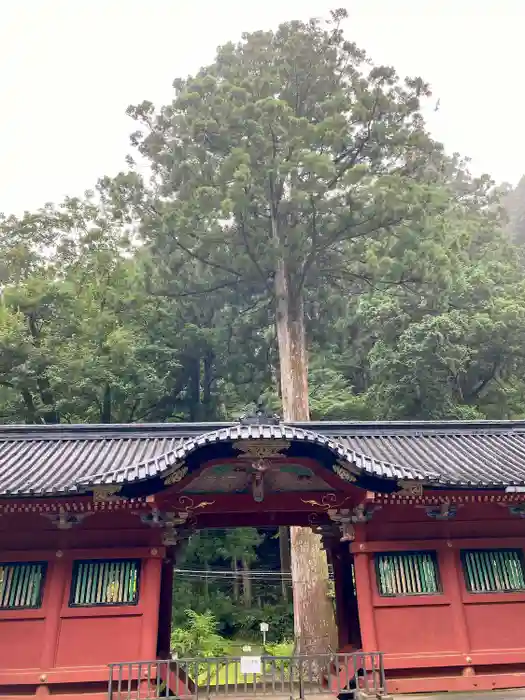 日光山輪王寺 常行堂の建物その他