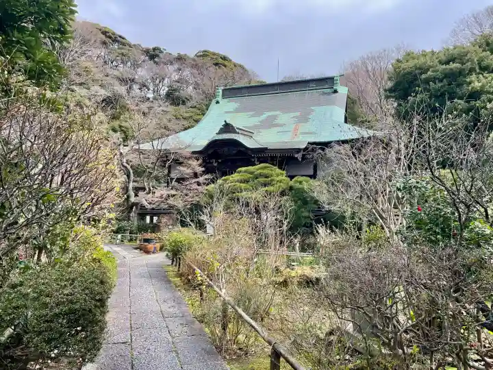妙法寺の{uncategorized: "未分類", other: "その他", undefined: "問題あり", building: "その他建物", grave: "お墓", sacred_gate: "鳥居", guardian: "狛犬", statue: "像", buddha: "仏像", history: "歴史", nature: "自然", garden: "庭園", animal: "動物", pagoda: "塔", temizu: "手水舎", mountain_gate: "山門・神門", sanctuary: "本殿・本堂", subordinate: "末社・摂社", art: "芸術", scenery: "景色", jizo: "地蔵", ema: "絵馬", goshuin: "御朱印", omikuji: "おみくじ", items: "授与品その他", amulet: "お守り", goshuincho: "御朱印帳", eats: "食事", festival: "お祭り", votive_dance: "神楽", shichigosan: "七五三参", wedding: "結婚式", experience: "体験その他", initially: "初詣", around: "周辺", anti_infection: "感染症対策"}