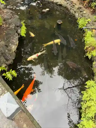 厳島神社(東京都)
