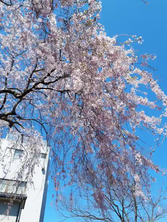 御釜神社の自然