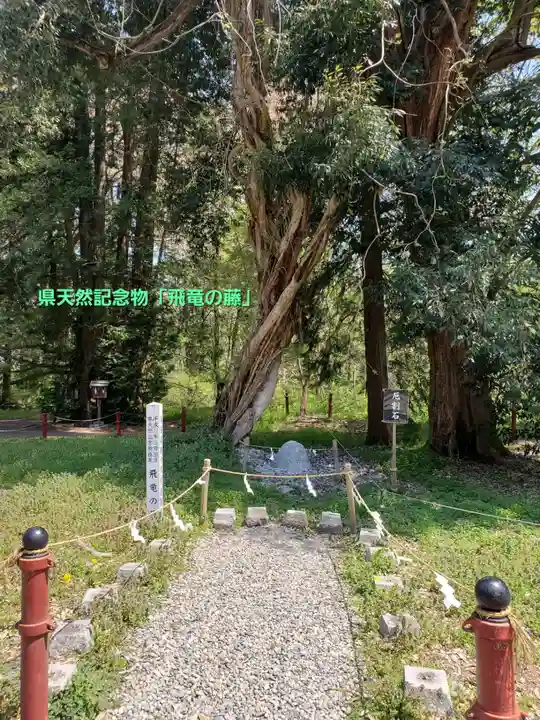 伊佐須美神社(福島県)