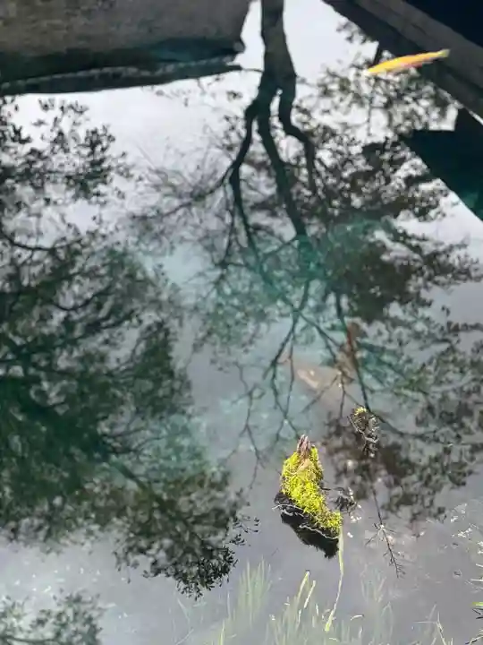 淺間神社(忍野八海)(山梨県)