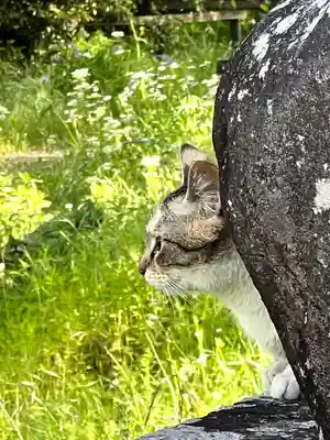 上伊那招魂社(長野県)
