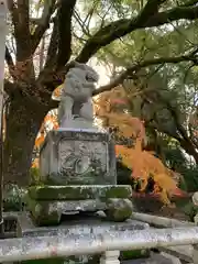 八坂神社(祇園さん)の狛犬