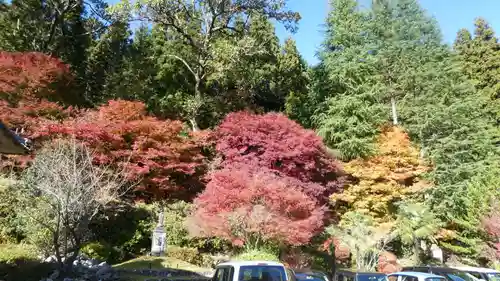 玉龍寺(岐阜県)