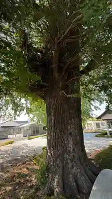 星谷寺(神奈川県)