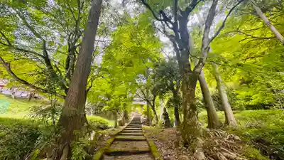 龍穏寺(京都府)