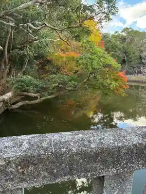 安房神社(千葉県)