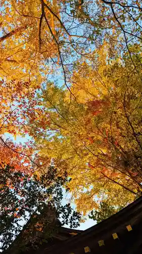 麻賀多神社の自然