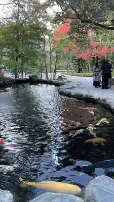 伊勢神宮内宮（皇大神宮）(三重県)