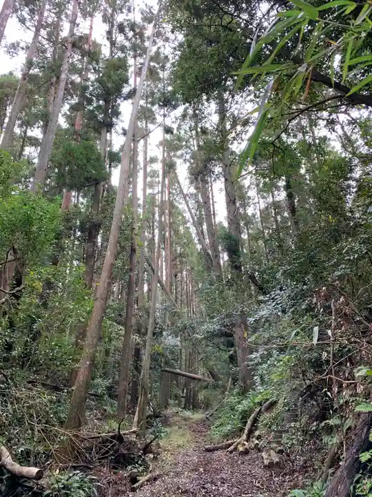 佐室浅野神社の自然