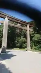 明治神宮の鳥居