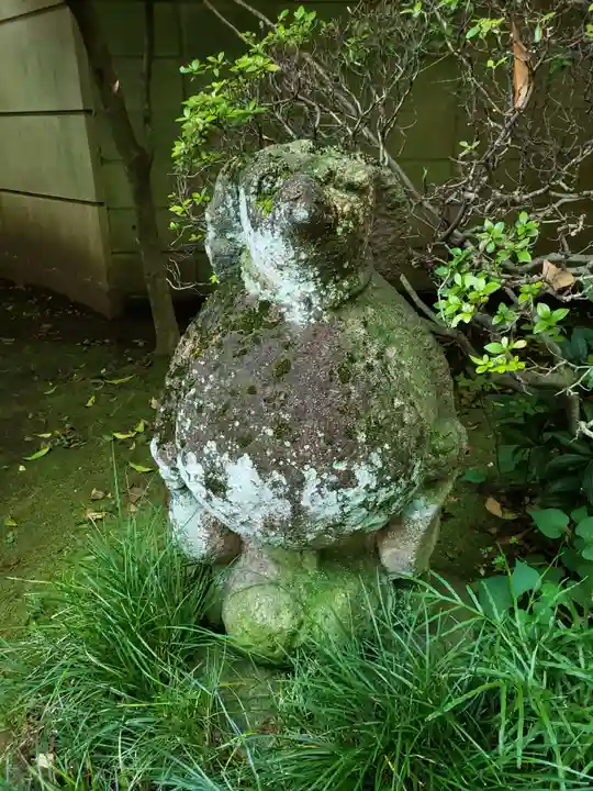 高円寺(東京都)