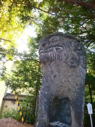 北見神社の狛犬