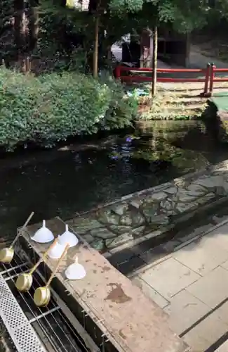 白川吉見神社の手水