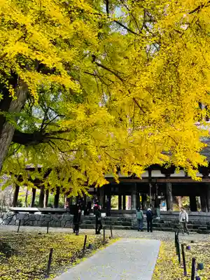 新宮熊野神社(福島県)