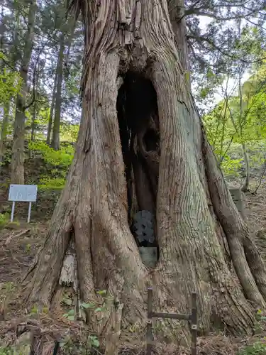 迦葉山龍華院弥勒護国寺（弥勒寺）の自然