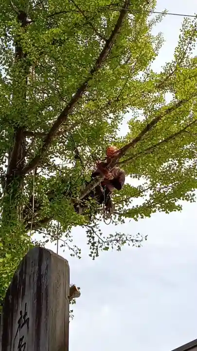阿邪訶根神社(福島県)