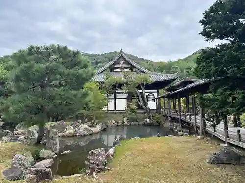 高台寺（高台寿聖禅寺・高臺寺）(京都府)