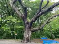 相馬神社(北海道)