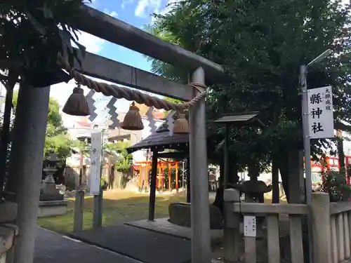 縣神社の鳥居