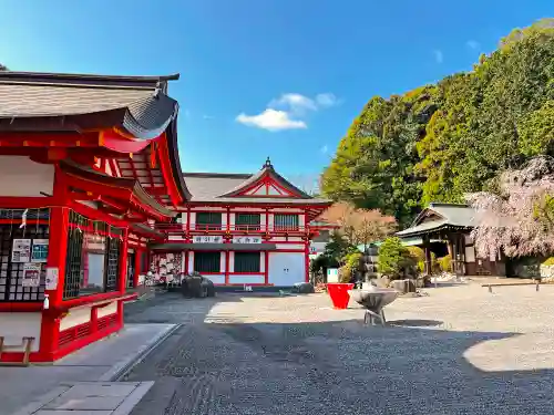 近江神宮の建物その他