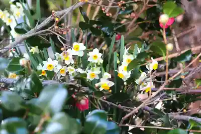 三津厳島神社(愛媛県)
