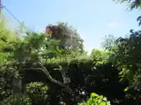 悟心寺(神奈川県)