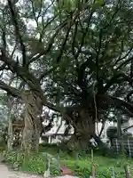 野島神社(宮崎県)