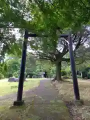 神明神社(神奈川県)