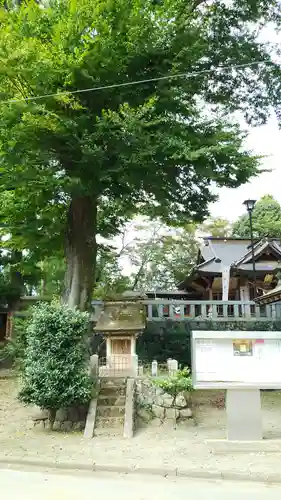 立野神社の自然