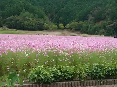 達身寺(兵庫県)