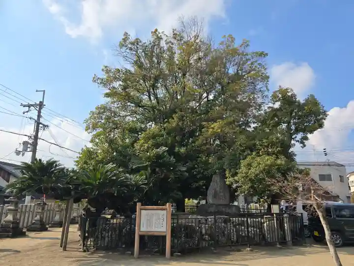 龍田神社(奈良県)