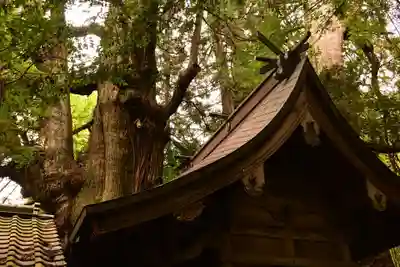 大杵社(大分県)