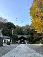 武州白子熊野神社(埼玉県)