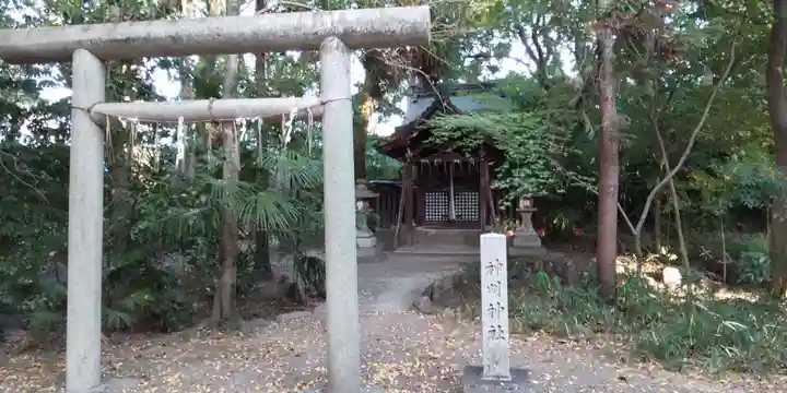 御霊神社(上御霊神社)(京都府)