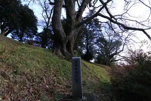 高木神社の自然
