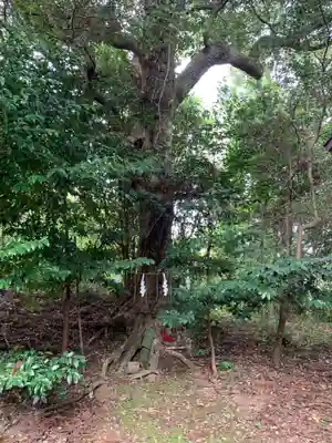 成田熊野神社(千葉県)
