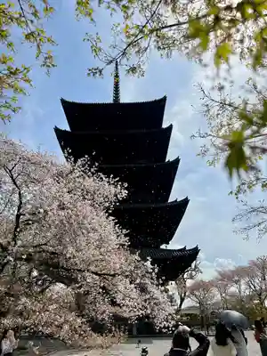 東寺（教王護国寺）(京都府)