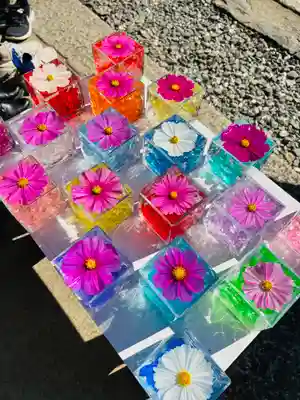 般若寺 ❁﻿コスモス寺❁(奈良県)