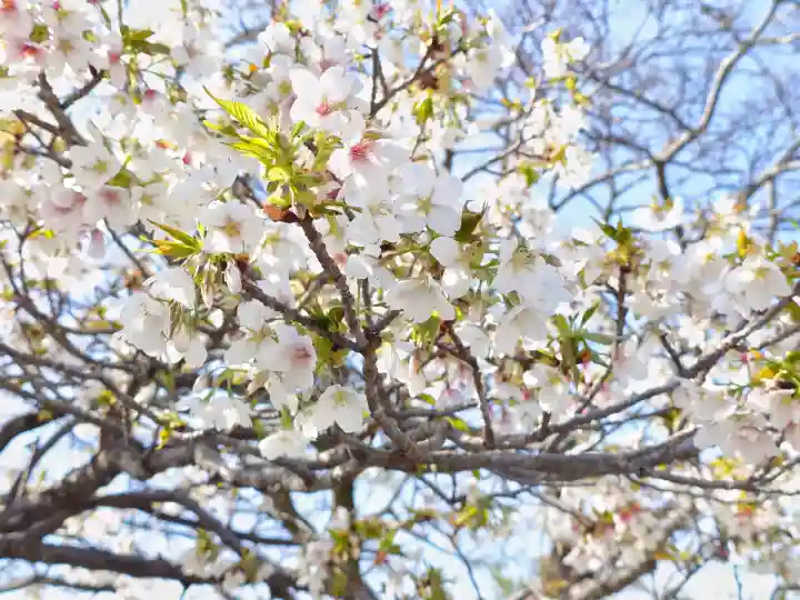 旗上弁財天社の{uncategorized: "未分類", other: "その他", undefined: "問題あり", building: "その他建物", grave: "お墓", sacred_gate: "鳥居", guardian: "狛犬", statue: "像", buddha: "仏像", history: "歴史", nature: "自然", garden: "庭園", animal: "動物", pagoda: "塔", temizu: "手水舎", mountain_gate: "山門・神門", sanctuary: "本殿・本堂", subordinate: "末社・摂社", art: "芸術", scenery: "景色", jizo: "地蔵", ema: "絵馬", goshuin: "御朱印", omikuji: "おみくじ", items: "授与品その他", amulet: "お守り", goshuincho: "御朱印帳", eats: "食事", festival: "お祭り", votive_dance: "神楽", shichigosan: "七五三参", wedding: "結婚式", experience: "体験その他", initially: "初詣", around: "周辺", anti_infection: "感染症対策"}
