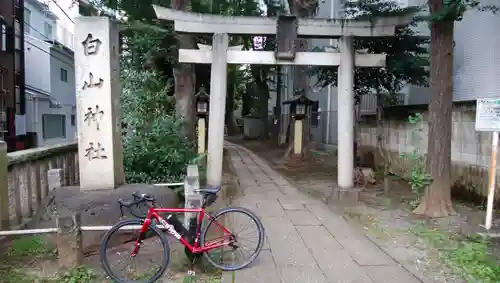 荻窪白山神社の鳥居