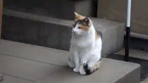 戸越八幡神社の動物