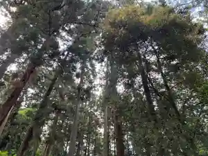 大宮温泉神社(栃木県)(2023年06月06日(火) 06時36分18秒投稿)