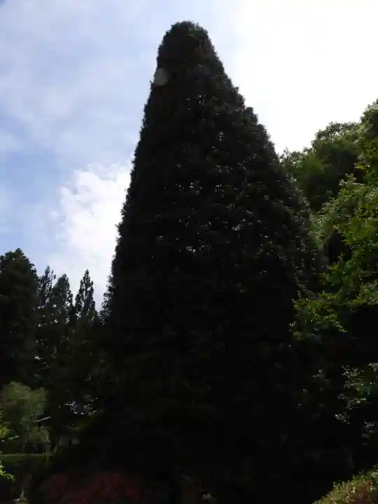 安楽寺(長野県)