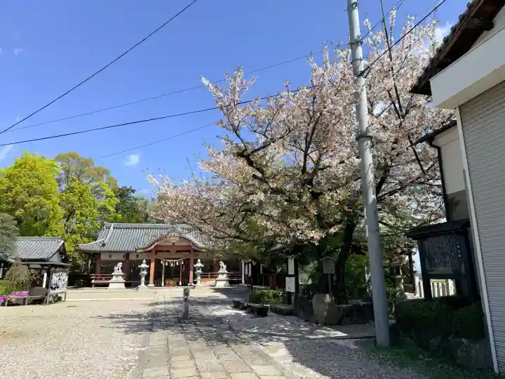 百済王神社の{uncategorized: "未分類", other: "その他", undefined: "問題あり", building: "その他建物", grave: "お墓", sacred_gate: "鳥居", guardian: "狛犬", statue: "像", buddha: "仏像", history: "歴史", nature: "自然", garden: "庭園", animal: "動物", pagoda: "塔", temizu: "手水舎", mountain_gate: "山門・神門", sanctuary: "本殿・本堂", subordinate: "末社・摂社", art: "芸術", scenery: "景色", jizo: "地蔵", ema: "絵馬", goshuin: "御朱印", omikuji: "おみくじ", items: "授与品その他", amulet: "お守り", goshuincho: "御朱印帳", eats: "食事", festival: "お祭り", votive_dance: "神楽", shichigosan: "七五三参", wedding: "結婚式", experience: "体験その他", initially: "初詣", around: "周辺", anti_infection: "感染症対策"}