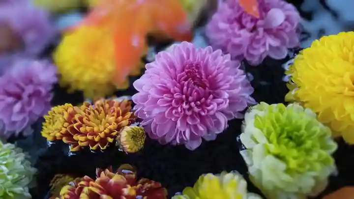 阿邪訶根神社(福島県)