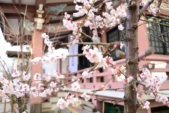 平河天満宮の自然